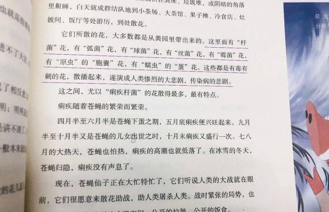 时尚博主街拍